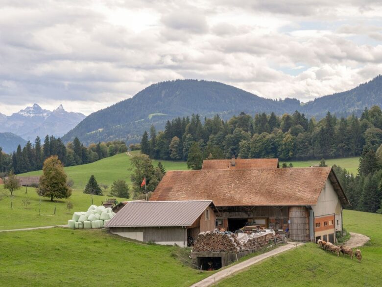 Ferme alpine entourée de pâturages, de forêts et de montagnes